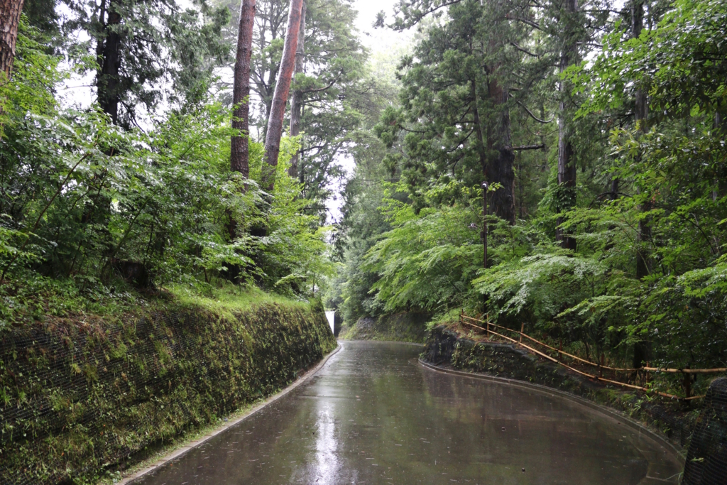 f:id:micvany:20170802223625j:plain f:id:micvany:20170802223625j:plain