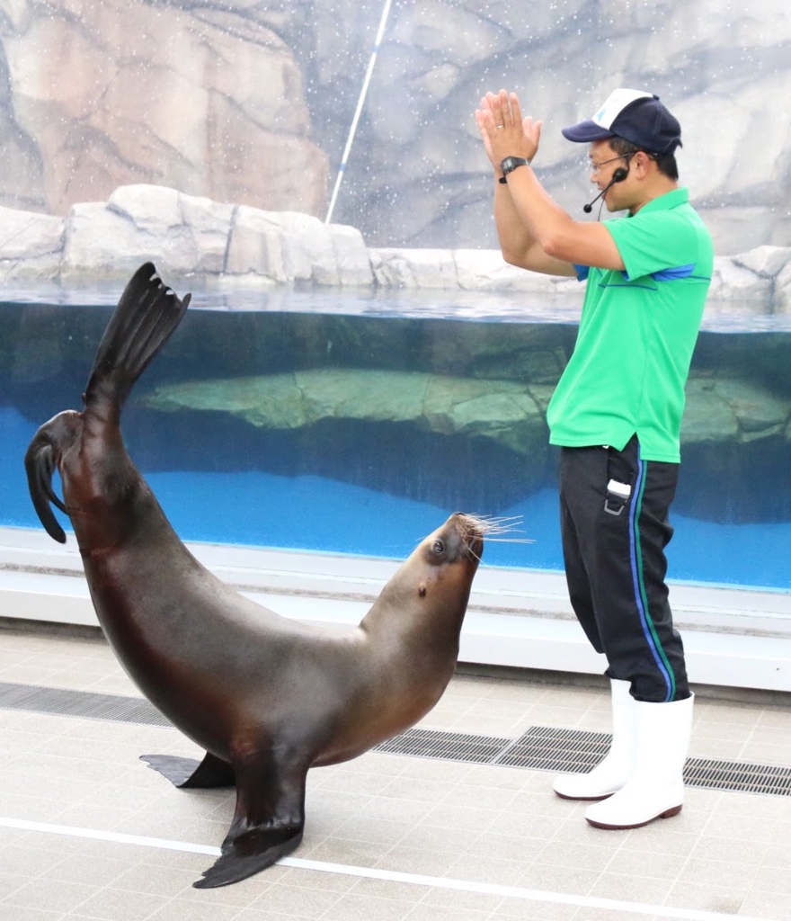 f:id:micvany:20170802233425j:plain f:id:micvany:20170802233425j:plain