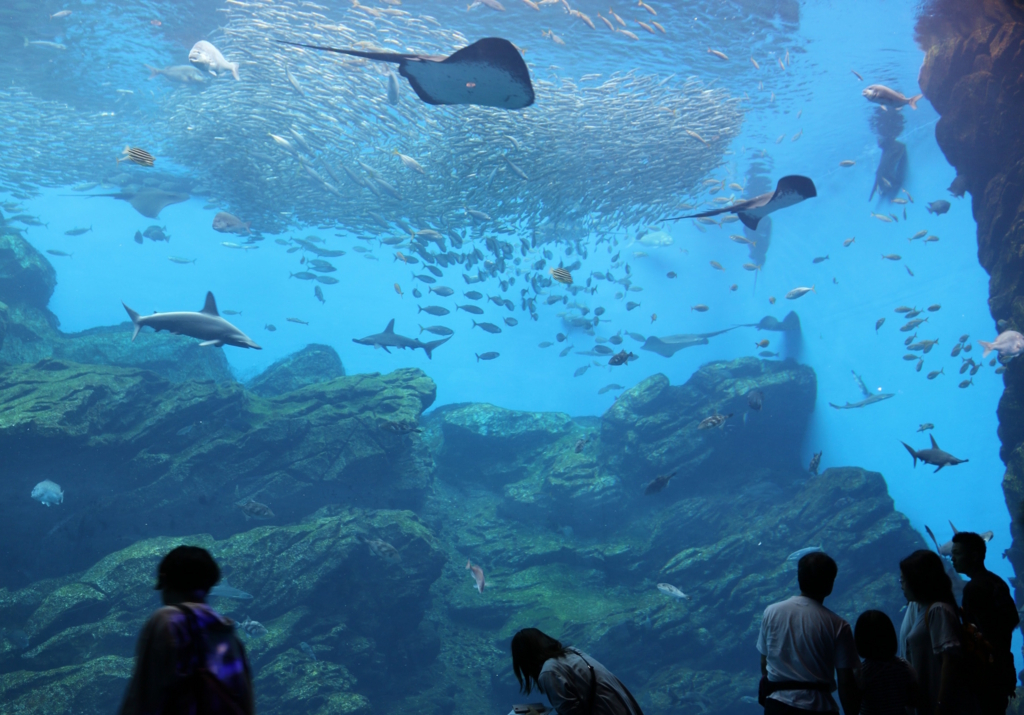 f:id:micvany:20170802233643j:plain f:id:micvany:20170802233643j:plain