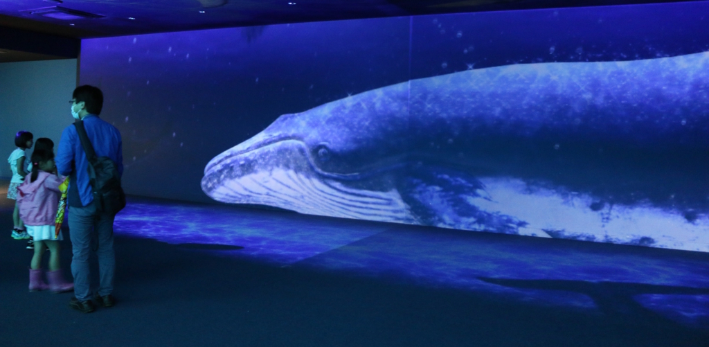 f:id:micvany:20170802233744j:plain f:id:micvany:20170802233744j:plain