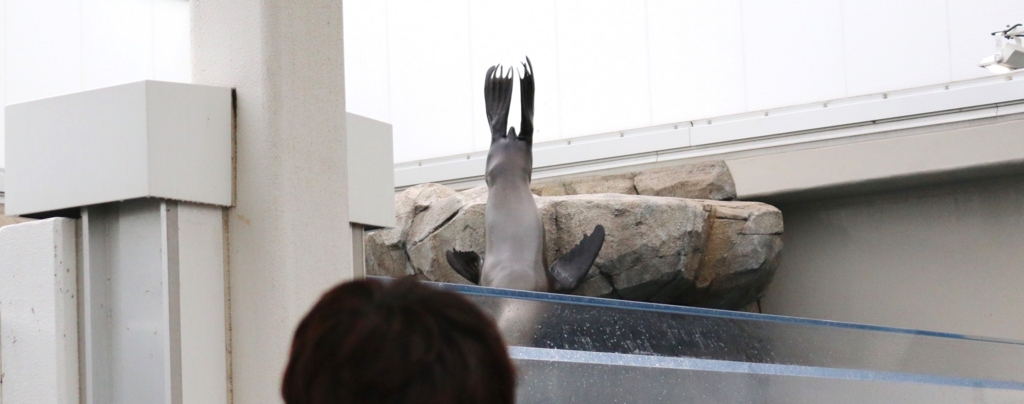 f:id:micvany:20170803202159j:plain f:id:micvany:20170803202159j:plain