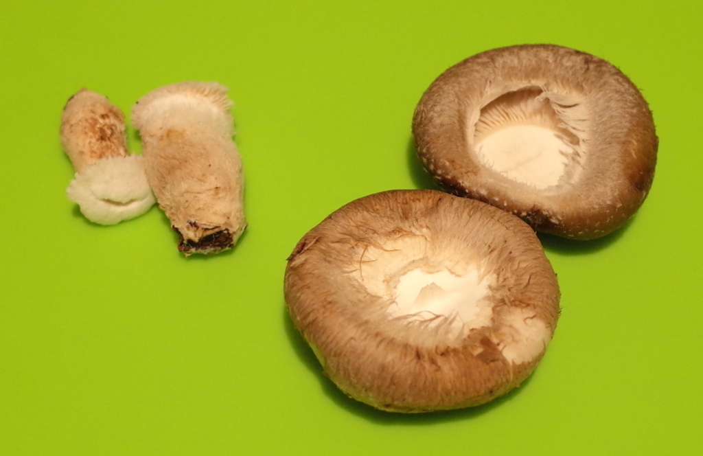 f:id:micvany:20180318140936j:plain