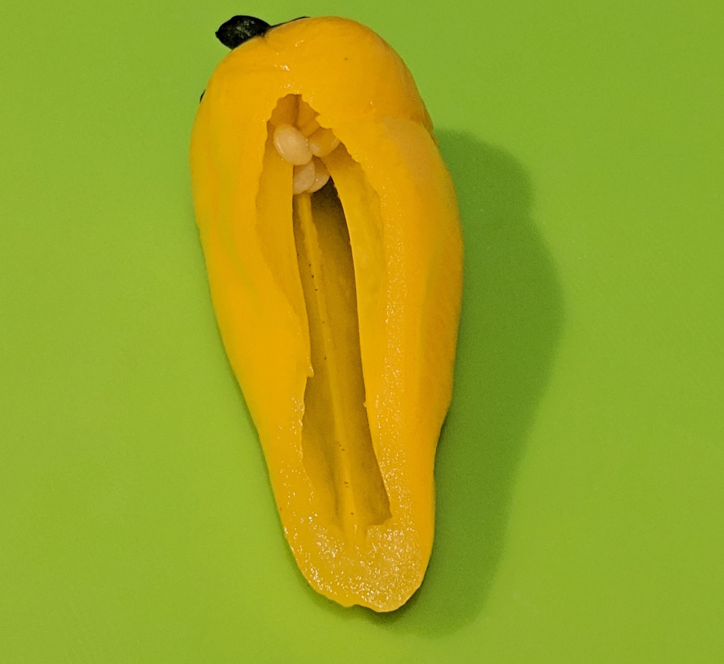 f:id:micvany:20181118235401j:plain