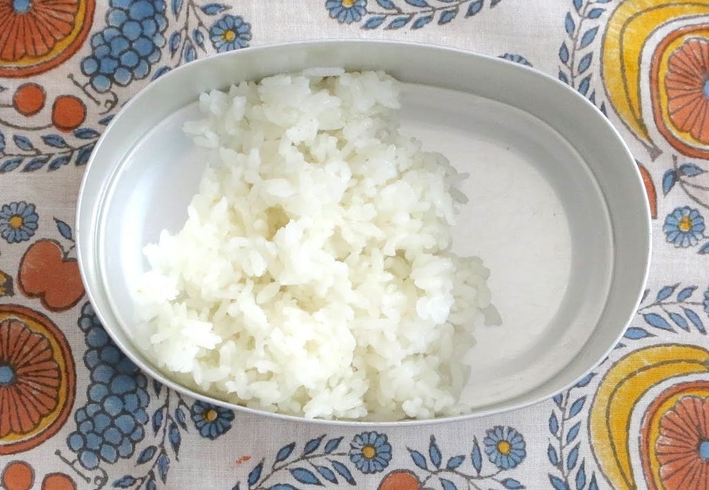 f:id:micvany:20190120230417j:plain f:id:micvany:20190120230417j:plain