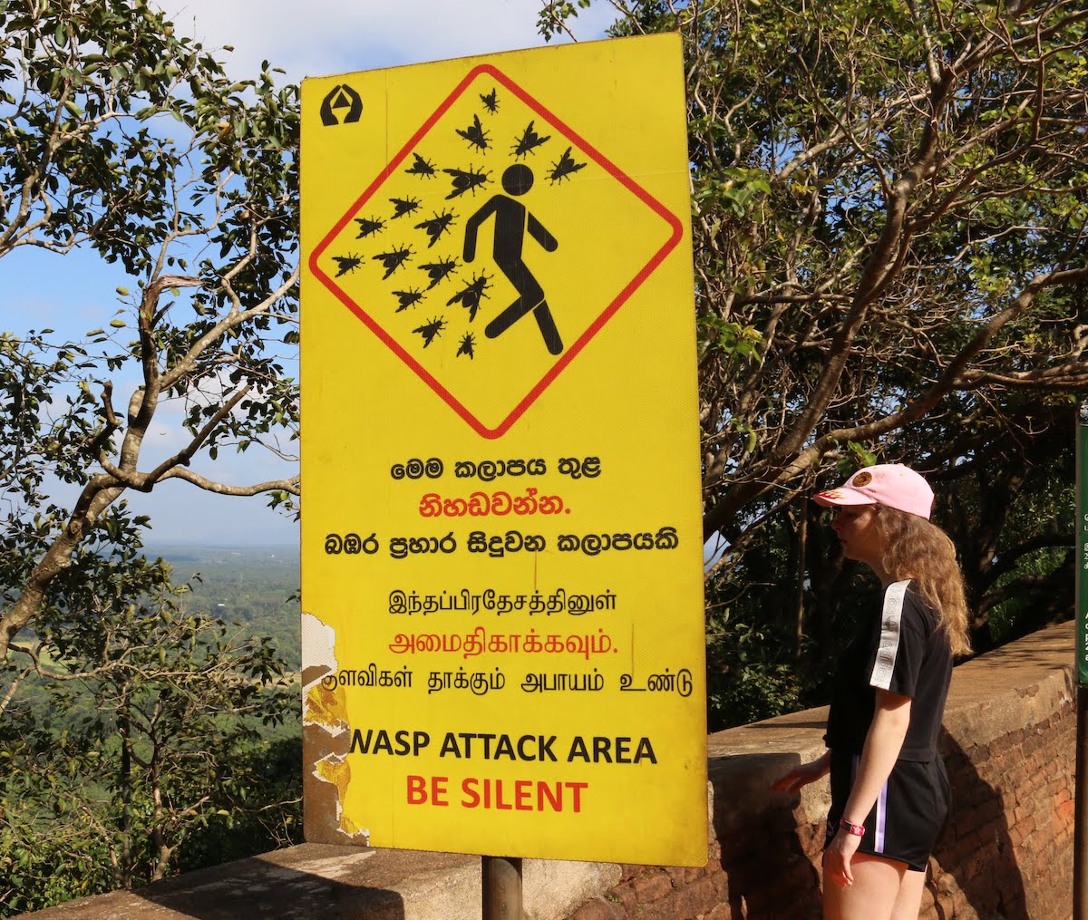 f:id:micvany:20190319005646j:plain