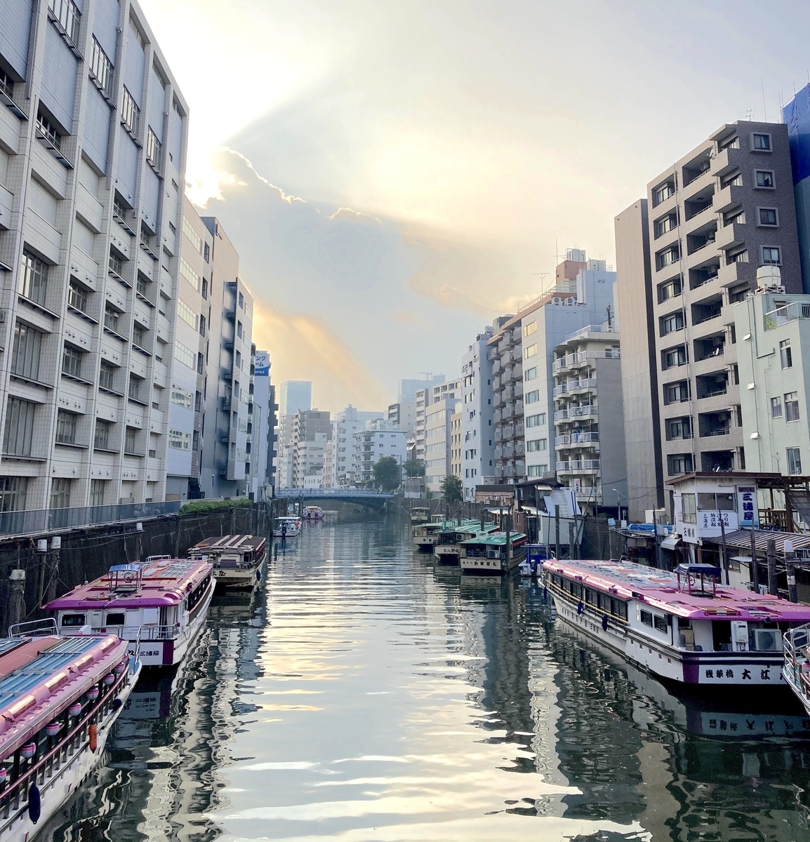 f:id:micvany:20200804092333j:plain