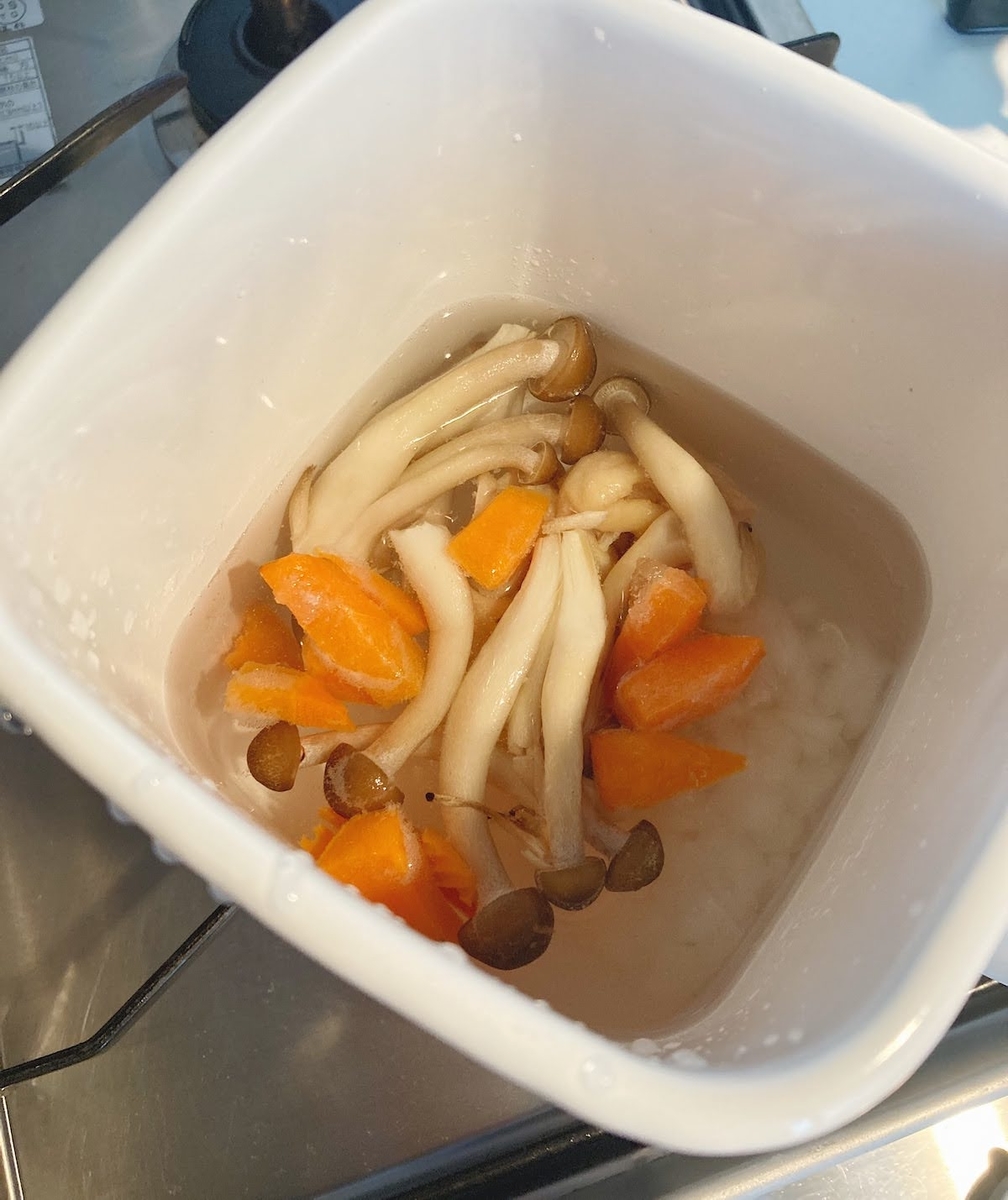 f:id:micvany:20201107214105j:plain