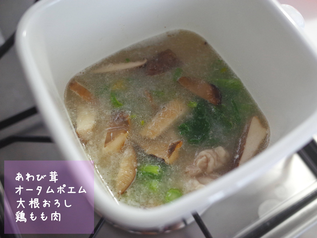 f:id:micvany:20210124225726j:plain