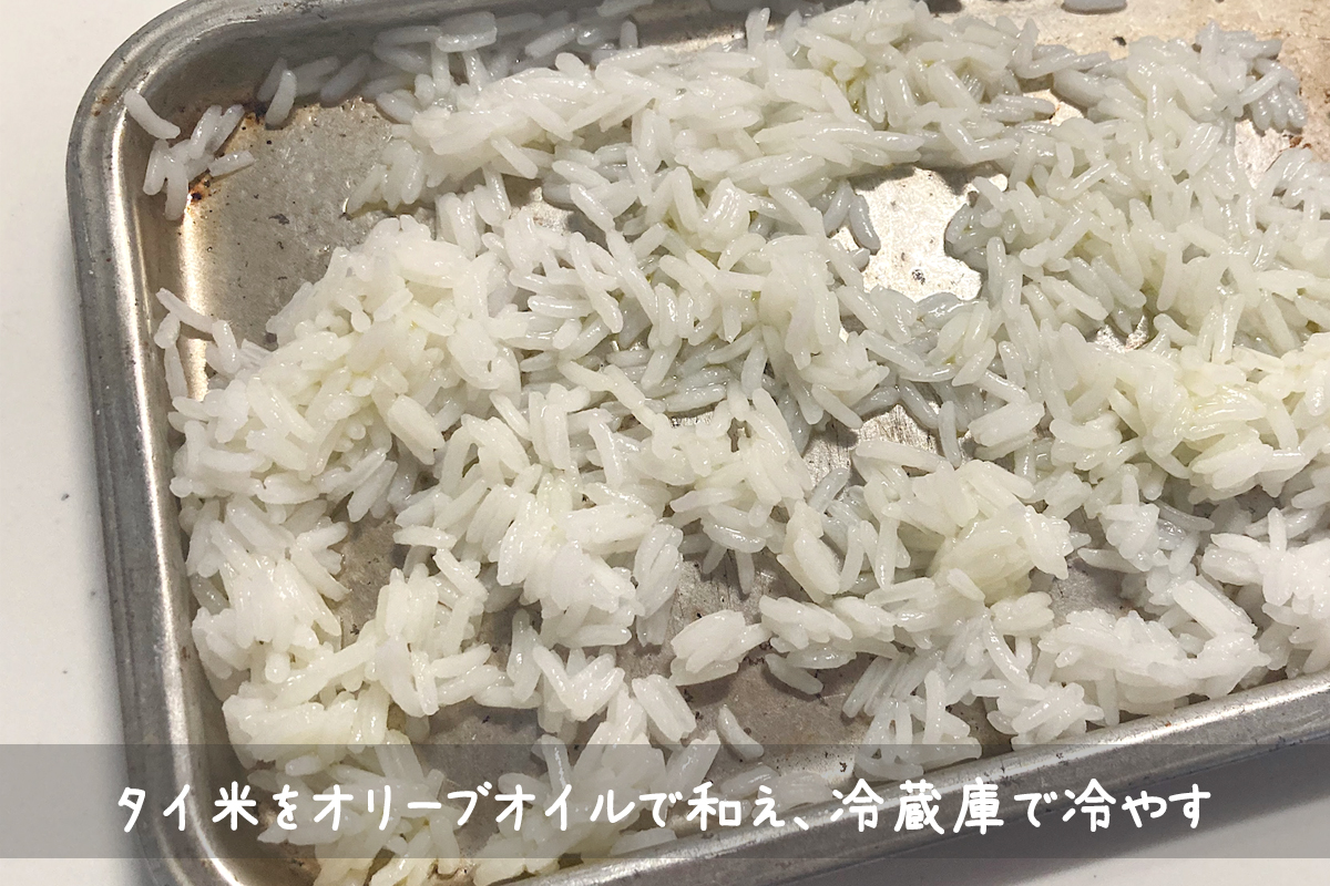 f:id:micvany:20210303200146j:plain