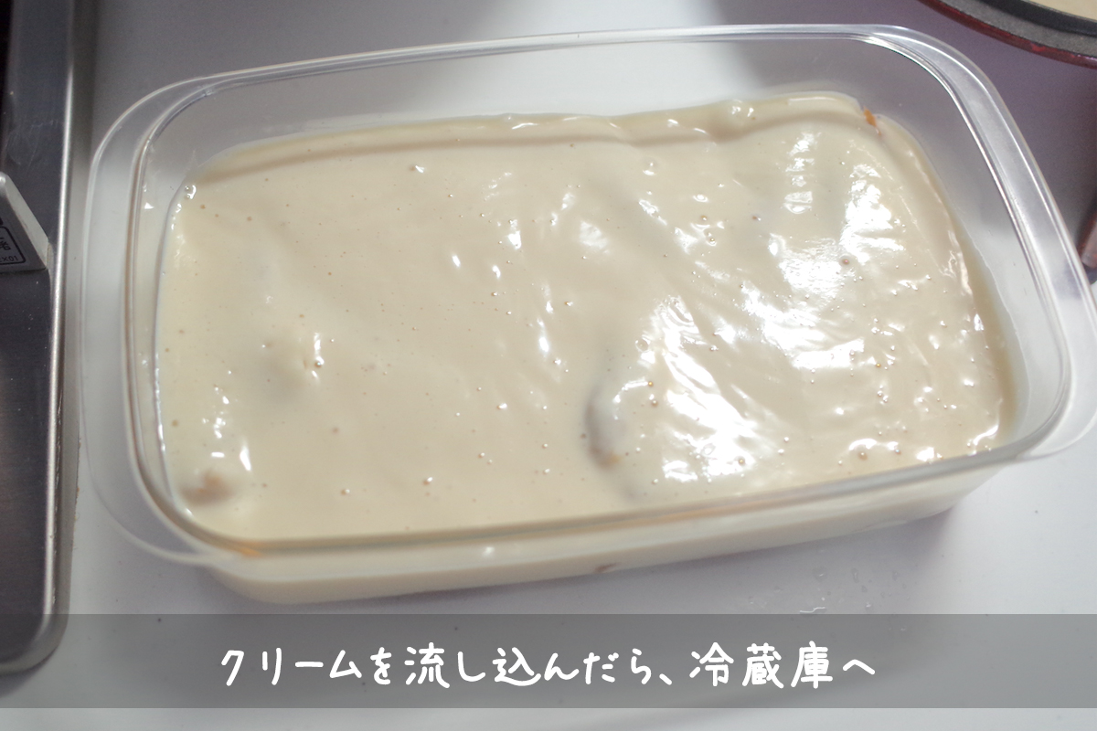 f:id:micvany:20210303203906j:plain