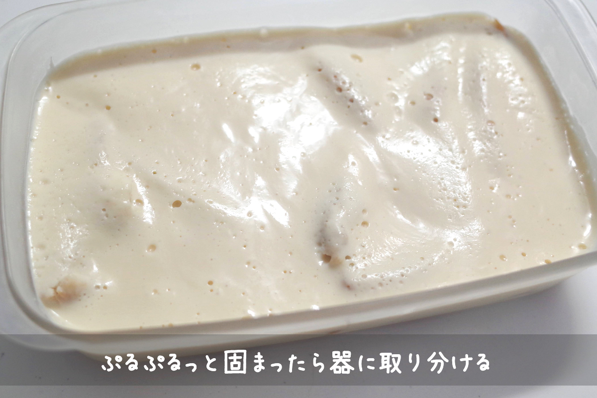 f:id:micvany:20210303204103j:plain