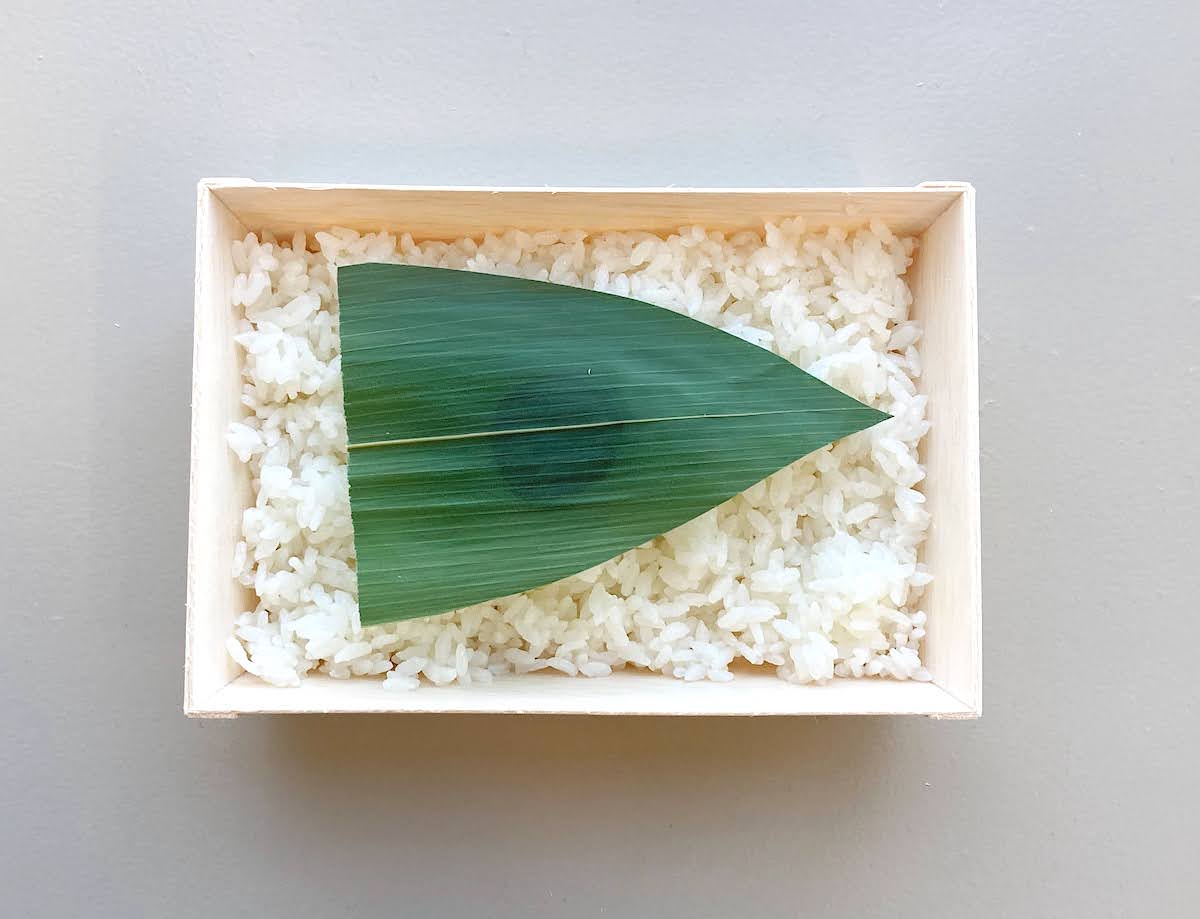 f:id:micvany:20210313132310j:plain