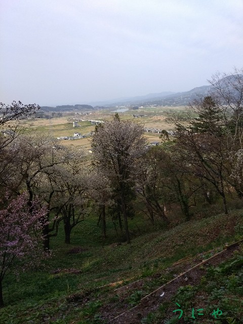 f:id:micyam-ucyan:20180422233451j:image f:id:micyam-ucyan:20180422233451j:image