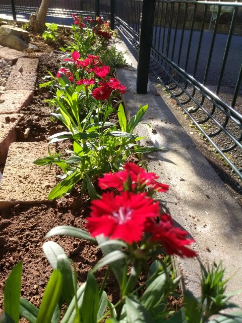 f:id:micyam-ucyan:20181031221458j:image