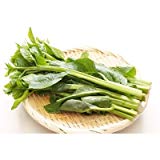 つるむらさき 150g 『無農薬・無化学肥料栽培』 埼玉県加須市 遠藤農園産 つるむらさき 150g 『無農薬・無化学肥料栽培』 埼玉県加須市 遠藤農園産