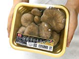 長野県 ホクト ”霜降りひらたけ” 約100g 10pc(冷蔵便) 【予約 入荷次第発送】 長野県 ホクト ”霜降りひらたけ” 約100g 10pc(冷蔵便) 【予約 入荷次第発送】