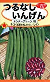 トーホク つるなしいんげん テンダーグリーンPB
