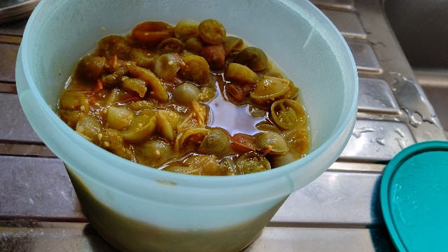 f:id:micyam-ucyan:20200904155219j:image