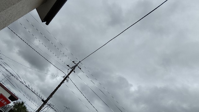 f:id:micyam-ucyan:20200913120245j:image