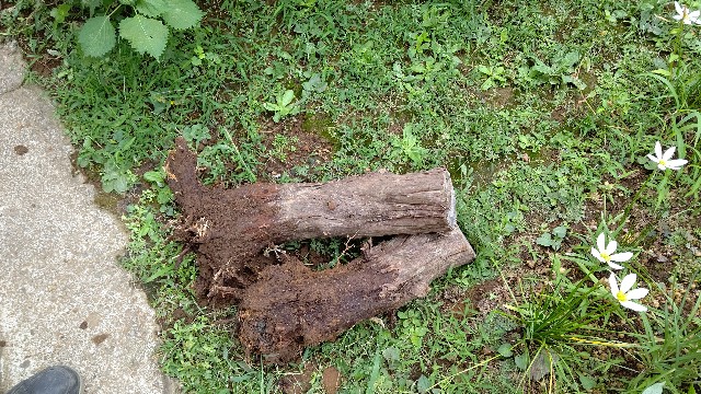 f:id:micyam-ucyan:20200913120308j:image