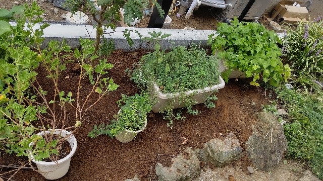 f:id:micyam-ucyan:20200913120352j:image