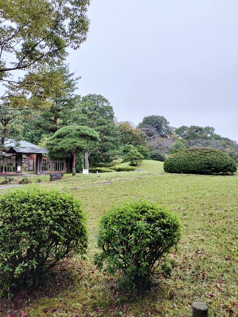 f:id:micyam-ucyan:20251026175439j:image f:id:micyam-ucyan:20251026175439j:image