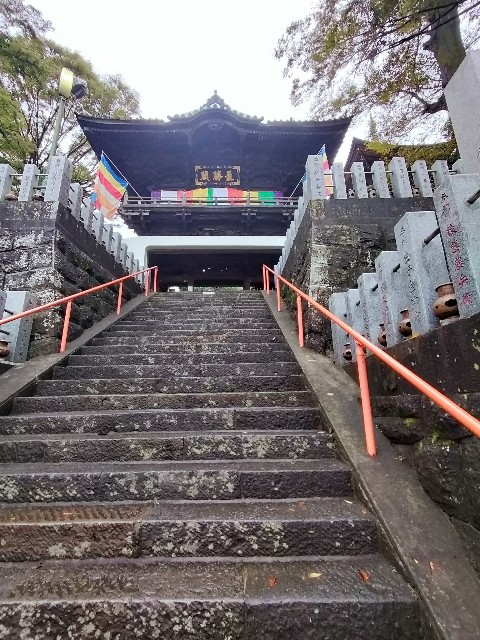 f:id:micyam-ucyan:20251026175504j:image f:id:micyam-ucyan:20251026175504j:image