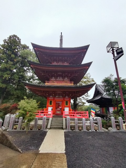 f:id:micyam-ucyan:20251026175610j:image f:id:micyam-ucyan:20251026175610j:image