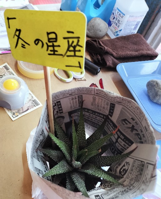 f:id:micyam-ucyan:20251026180135j:image f:id:micyam-ucyan:20251026180135j:image