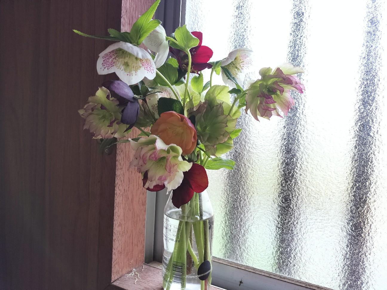 f:id:micyam-ucyan:20260405200310j:image
