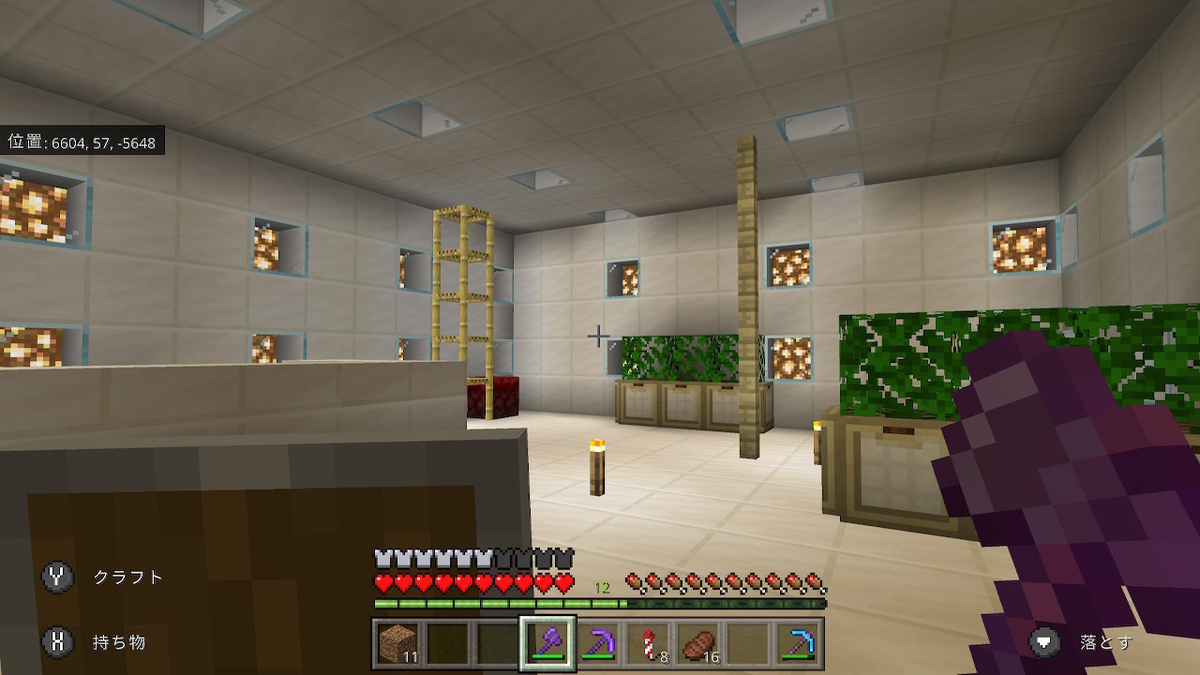 f:id:miczoga3:20201207233114j:plain