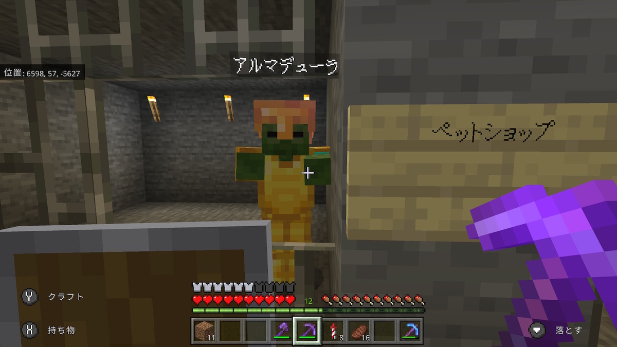 f:id:miczoga3:20201207233754j:plain