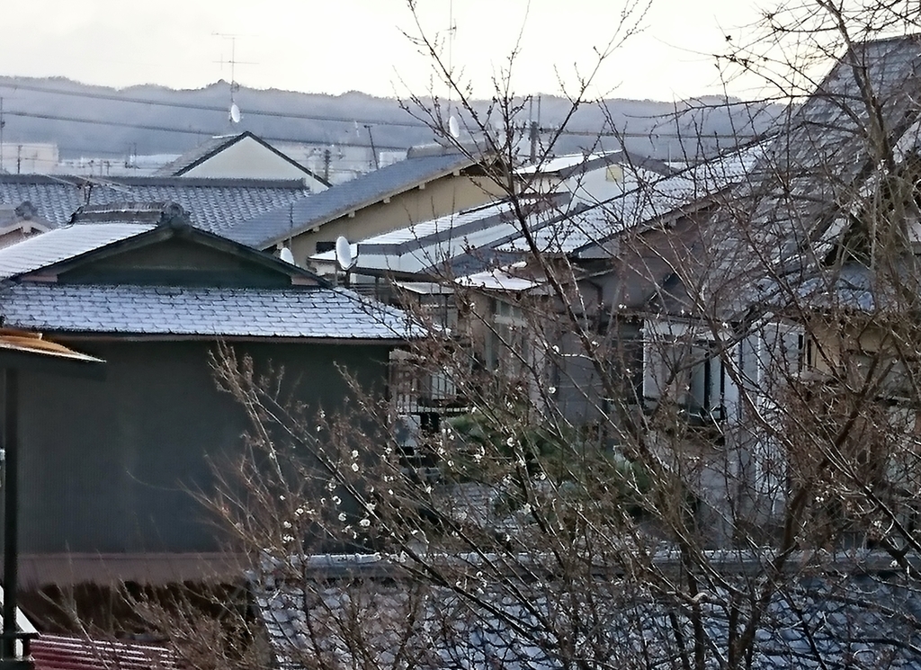 f:id:mid40-shinmaipapa:20181228210803j:plain f:id:mid40-shinmaipapa:20181228210803j:plain