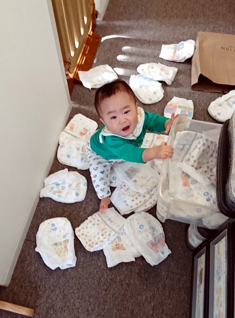 f:id:mid40-shinmaipapa:20190115141412j:plain f:id:mid40-shinmaipapa:20190115141412j:plain