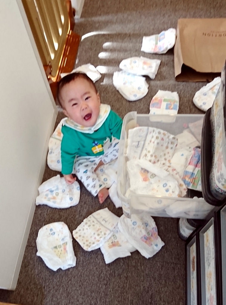 f:id:mid40-shinmaipapa:20190115141422j:plain f:id:mid40-shinmaipapa:20190115141422j:plain