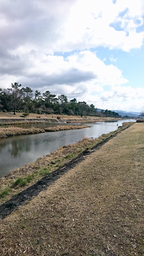 f:id:mid40-shinmaipapa:20190201222249j:plain f:id:mid40-shinmaipapa:20190201222249j:plain