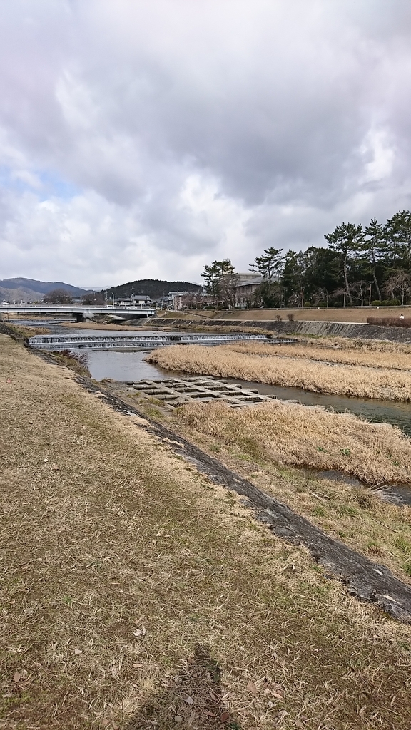 f:id:mid40-shinmaipapa:20190201222259j:plain f:id:mid40-shinmaipapa:20190201222259j:plain