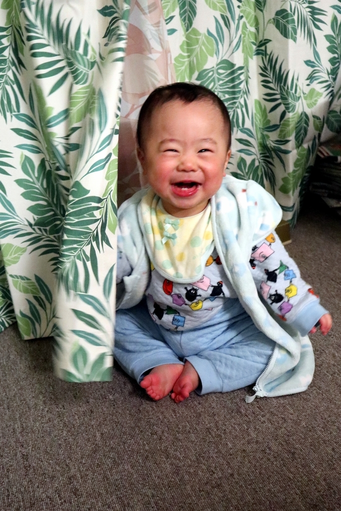 f:id:mid40-shinmaipapa:20190207113736j:plain f:id:mid40-shinmaipapa:20190207113736j:plain