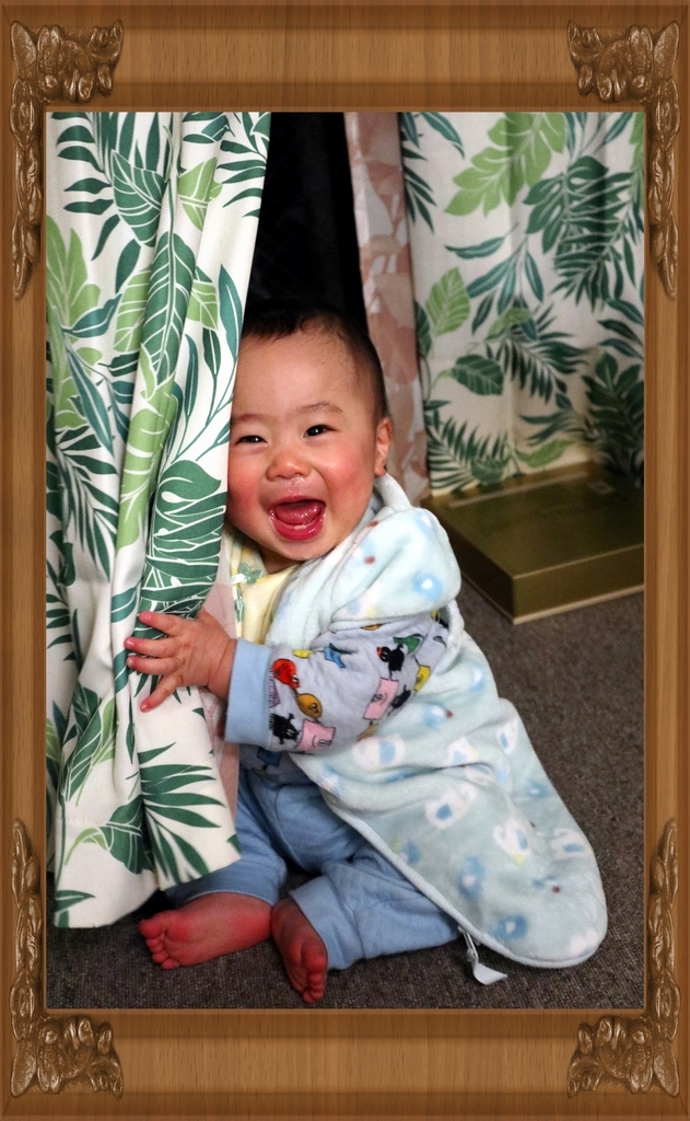 f:id:mid40-shinmaipapa:20190207174228j:plain f:id:mid40-shinmaipapa:20190207174228j:plain