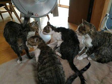 f:id:middle-aged-se:20180430192714j:plain