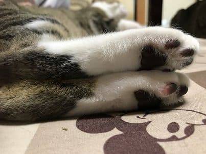 f:id:middle-aged-se:20180610161948j:plain