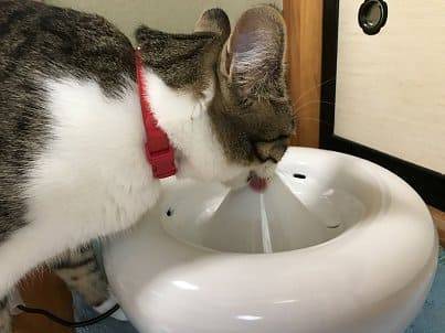 f:id:middle-aged-se:20180715113212j:plain