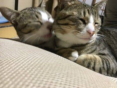 f:id:middle-aged-se:20180729115915j:plain