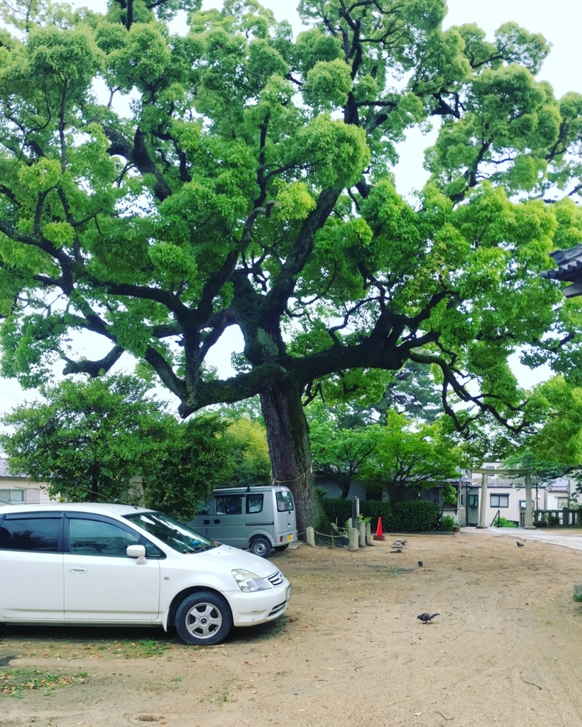 f:id:middleaged_web:20170726230936j:plain