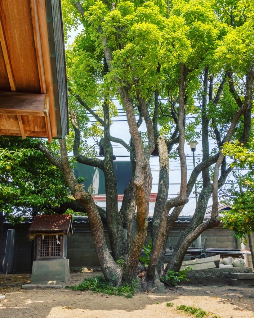 f:id:middleaged_web:20170804215932j:plain