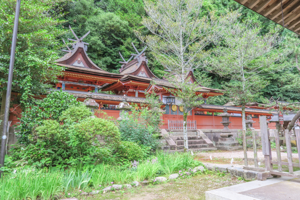 f:id:middleaged_web:20170905091839j:plain