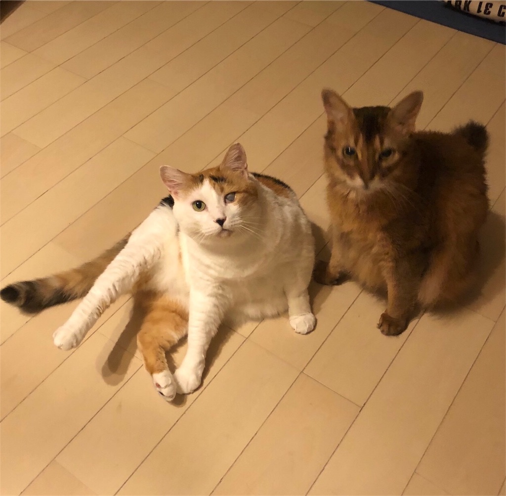 f:id:middledistance:20180731015657j:image