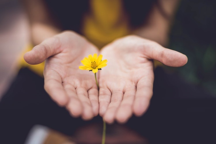 yellow_flower