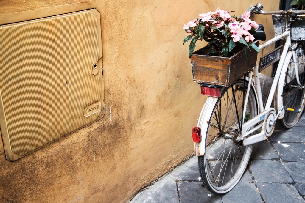 wall_and_bike