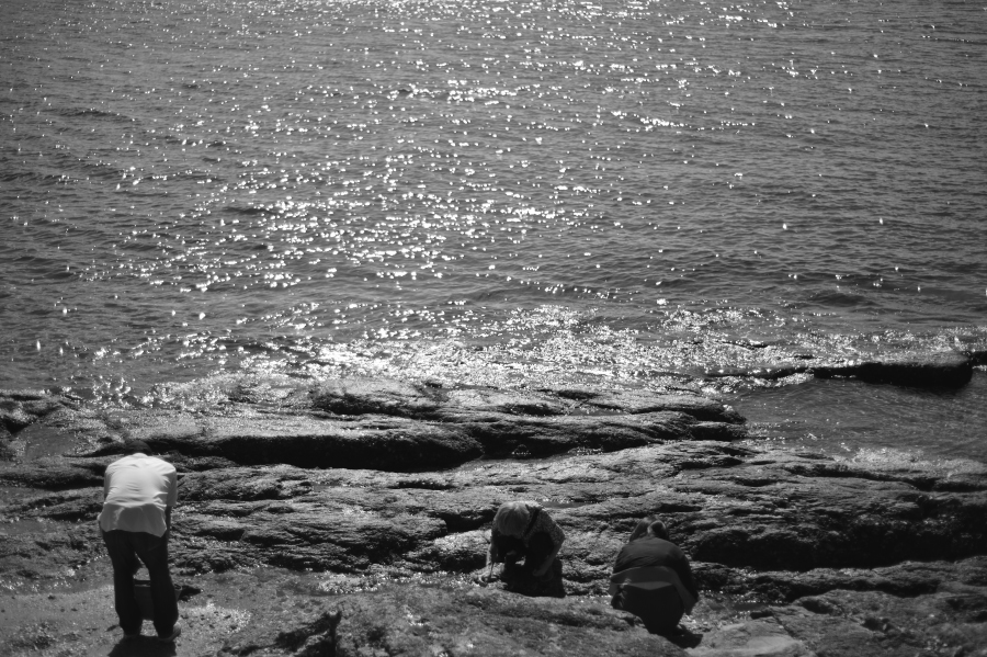 f:id:midnightblue1972:20190930221238j:plain